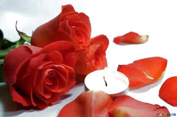 FX №21496 Romantic  night candles.