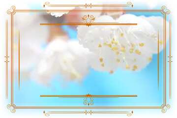 FX №210823 Spring Retro Lines Frame