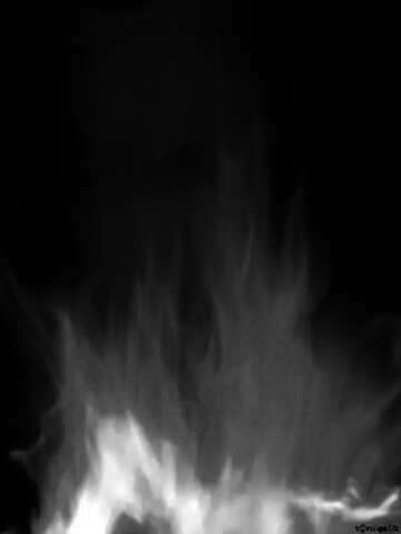 FX №210202 black white Fire