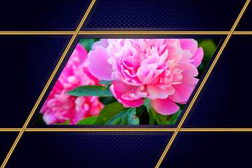 FX №210735 Flowers of peonies Carbon gold frame Blue hi-tech
