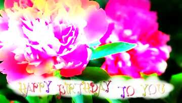 FX №210737 Flowers of peonies happy birthday