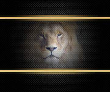 FX №211006 A lion carbon gold frame tech