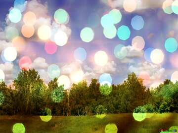 FX №211957 forest and sky background