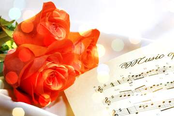 FX №212213 Postcard greetings music bokeh lights