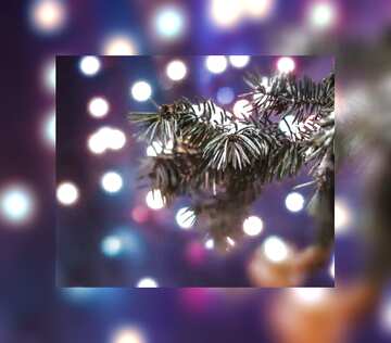 FX №213524 Christmas desktop fuzzy border