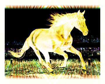 FX №213031 Horse colored light lines curves lights art