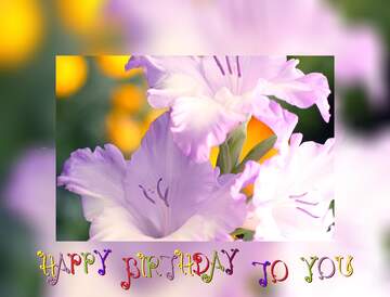 FX №220685 Beautiful flowers Happy Birthday congratulations