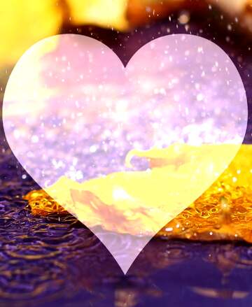 FX №221204 Autumn Heart