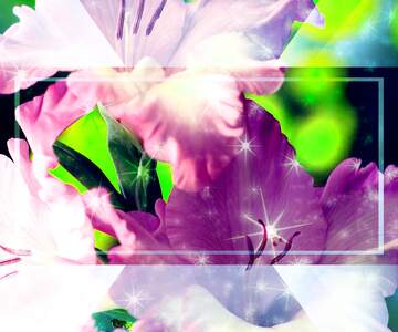 FX №221610 Beautiful flowers congratulations template
