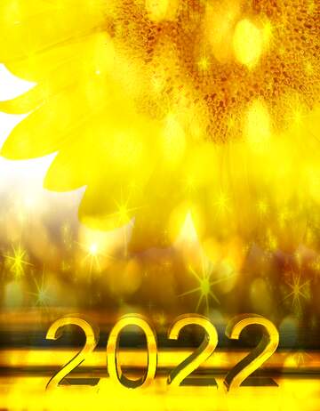 FX №221195 Sunflower 2022