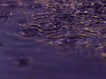 FX №222915 drops in water