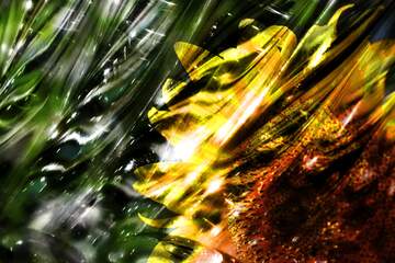 FX №222243 Flower wallpapers Glass gray overlay background