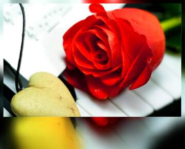 FX №262097 Happy Birthday love frame