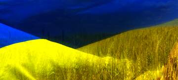 FX №262114 Ukraine cover background