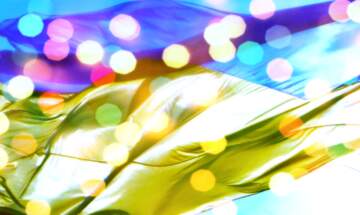 FX №265620 Український святковий фон