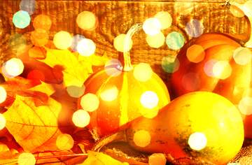 FX №265325 Wallpapers desktop autumn pumpkins