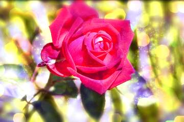 FX №266518 Blissful Radiance: Greetings in Full Glow