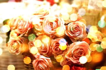 FX №266281 Greetings Radiance: Roses Bloom in Love`s Symphony