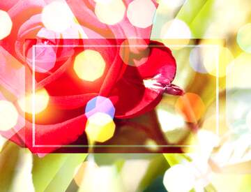 FX №266519 Lituation Greetings: Celebrate the Good Times