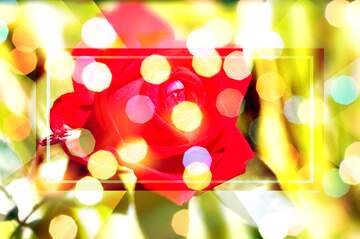 FX №266520 Thicc Blessings: Sending Love and Good Vibes