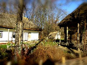 FX №276952 Charming Rural Landscape with Thatched Cottages Surrounded by Nature