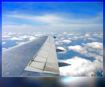 FX №3729 Template background for the label. Wing  Aircraft  of the  Inside   Flight.