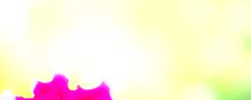 FX №61070 Abdeckung. Schönen Hintergrund mit Blume.