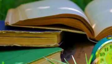 FX №61331 Abdeckung. Entspannen Sie bei Buch.