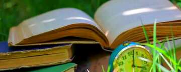 FX №61338 Abdeckung. Entspannen Sie bei Buch.