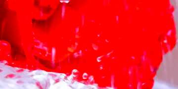 FX №64705 Couverture. Rose.