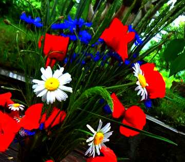 FX №67447 dark very vivid colors flowers bouquet