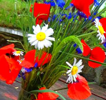 FX №67450 Couverture. Bouquet de fleurs récoltés en été.