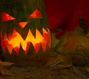 FX №7841  pumpkin scary