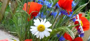 FX №71278 Coperchio. Bouquet di fiori di estate.