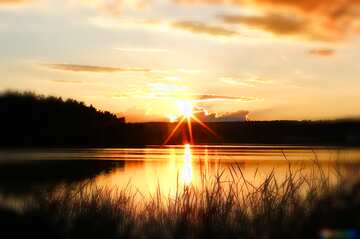 FX №77605 Evening lake landscape 