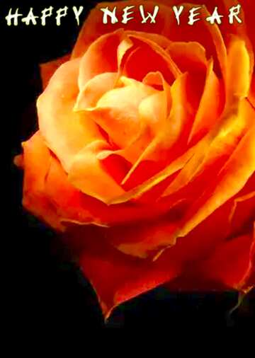 FX №77963 Happy New Year Rose  Flower Card