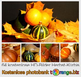 Bilddatenbank tOrange bietet kostenlosen Fotos aus dem Bereich: herbst-kürbis