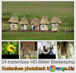 Bilddatenbank tOrange bietet kostenlosen Fotos aus dem Bereich: bienenzucht