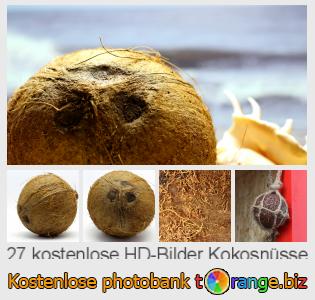 Bilddatenbank tOrange bietet kostenlosen Fotos aus dem Bereich:  kokosnüsse