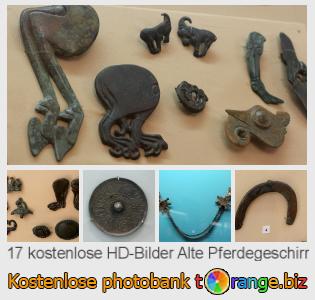 Bilddatenbank tOrange bietet kostenlosen Fotos aus dem Bereich:  alte-pferdegeschirr