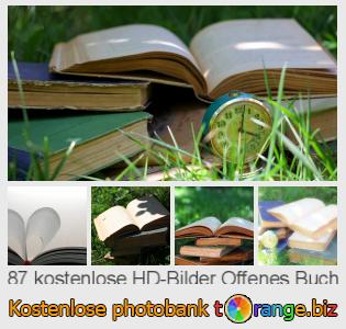 Bilddatenbank tOrange bietet kostenlosen Fotos aus dem Bereich:  offenes-buch