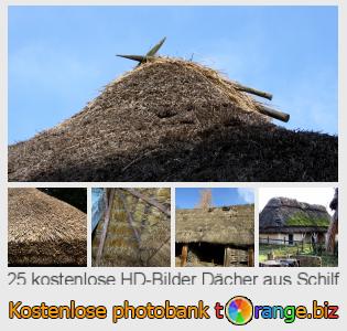 Bilddatenbank tOrange bietet kostenlosen Fotos aus dem Bereich:  dächer-aus-schilf