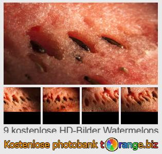 Bilddatenbank tOrange bietet kostenlosen Fotos aus dem Bereich:  wassermelonen