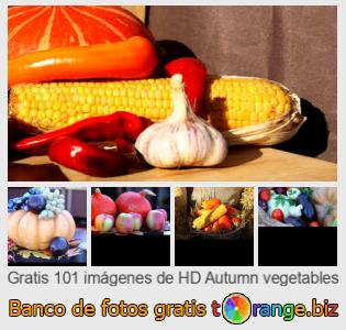 Banco de imagen tOrange ofrece fotos gratis de la sección:  vehículos-del-otoño