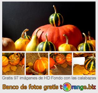 Banco de imagen tOrange ofrece fotos gratis de la sección:  fondo-con-las-calabazas