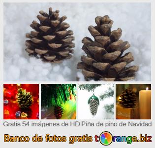 Banco de imagen tOrange ofrece fotos gratis de la sección:  piña-de-pino-de-navidad