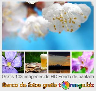 Banco de imagen tOrange ofrece fotos gratis de la sección:  fondo-de-pantalla