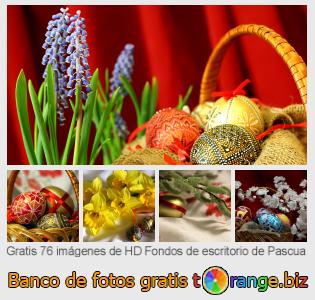 Banco de imagen tOrange ofrece fotos gratis de la sección:  fondos-de-escritorio-de-pascua