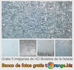Banco de imagen tOrange ofrece fotos gratis de la sección: modelos-de-la-helada