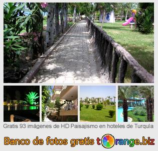 Banco de imagen tOrange ofrece fotos gratis de la sección:  paisajismo-en-hoteles-de-turquía